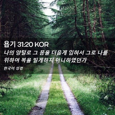 Picture 02 - 욥기 31:20 KOR - 나의 양털로 그 몸을 더웁게 입혀서 - Bible Verse Picture
