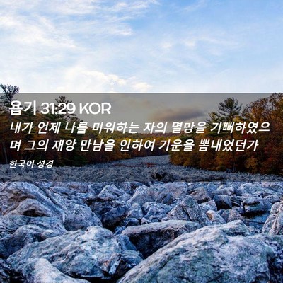 Picture 02 - 욥기 31:29 KOR - 내가 언제 나를 미워하는 자의 - Bible Verse Picture
