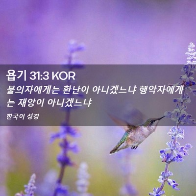 Picture 02 - 욥기 31:3 KOR - 불의자에게는 환난이 아니겠느냐 - Bible Verse Picture