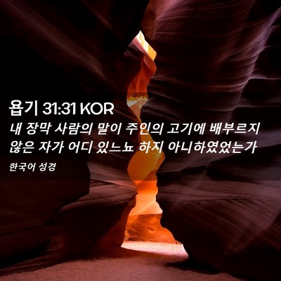 Picture 02 - 욥기 31:31 KOR - 내 장막 사람의 말이 주인의 고기에 - Bible Verse Picture