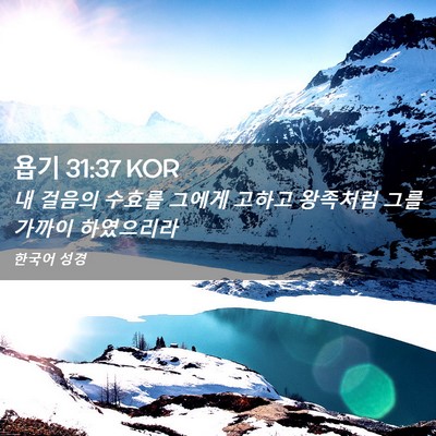 Picture 02 - 욥기 31:37 KOR - 내 걸음의 수효를 그에게 고하고 - Bible Verse Picture