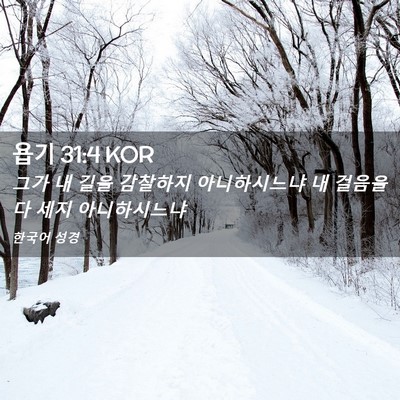 Picture 02 - 욥기 31:4 KOR - 그가 내 길을 감찰하지 아니하시느냐 - Bible Verse Picture