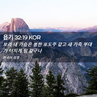 Picture 02 - 욥기 32:19 KOR - 보라 내 가슴은 봉한 포도주 같고 새 - Bible Verse Picture