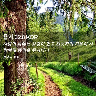 Picture 02 - 욥기 32:8 KOR - 사람의 속에는 심령이 있고 전능자의 - Bible Verse Picture