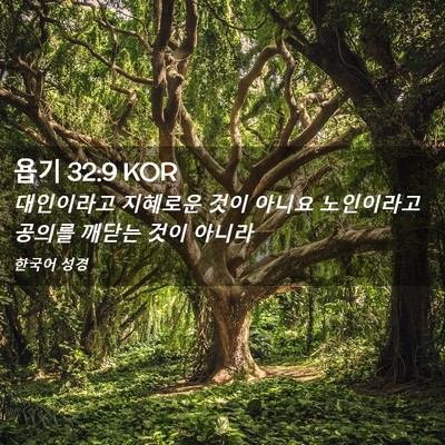 Picture 02 - 욥기 32:9 KOR - 대인이라고 지혜로운 것이 아니요 - Bible Verse Picture
