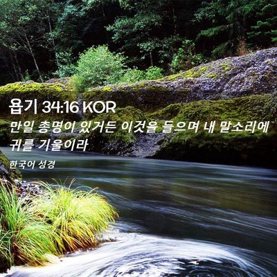 Picture 02 - 욥기 34:16 KOR - 만일 총명이 있거든 이것을 들으며 - Bible Verse Picture