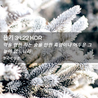 Picture 02 - 욥기 34:22 KOR - 악을 행한 자는 숨을 만한 흑암이나 - Bible Verse Picture