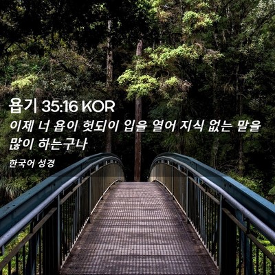 Picture 02 - 욥기 35:16 KOR - 이제 너 욥이 헛되이 입을 열어 지식 - Bible Verse Picture