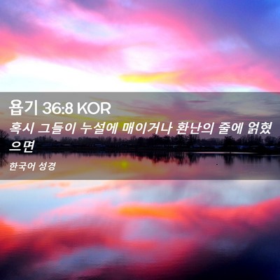 Picture 02 - 욥기 36:8 KOR - 혹시 그들이 누설에 매이거나 환난의 - Bible Verse Picture