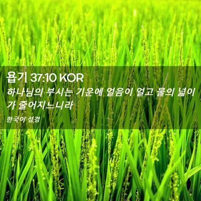 Picture 02 - 욥기 37:10 KOR - 하나님의 부시는 기운에 얼음이 얼고 - Bible Verse Picture