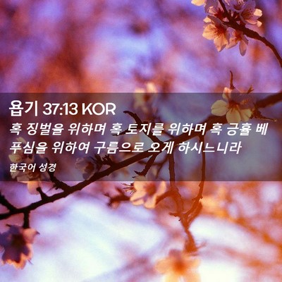 Picture 02 - 욥기 37:13 KOR - 혹 징벌을 위하며 혹 토지를 위하며 - Bible Verse Picture