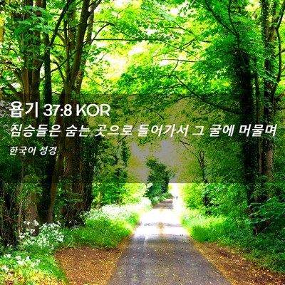 Picture 02 - 욥기 37:8 KOR - 짐승들은 숨는 곳으로 들어가서 그 - Bible Verse Picture