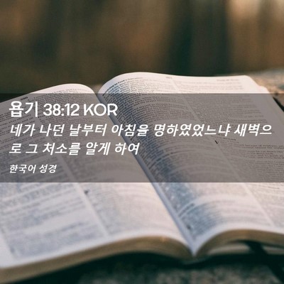 Picture 02 - 욥기 38:12 KOR - 네가 나던 날부터 아침을 - Bible Verse Picture