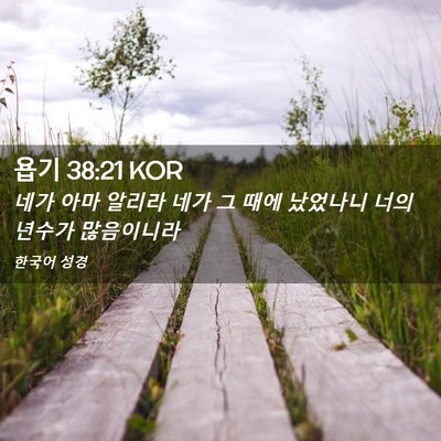 Picture 02 - 욥기 38:21 KOR - 네가 아마 알리라 네가 그 때에 - Bible Verse Picture