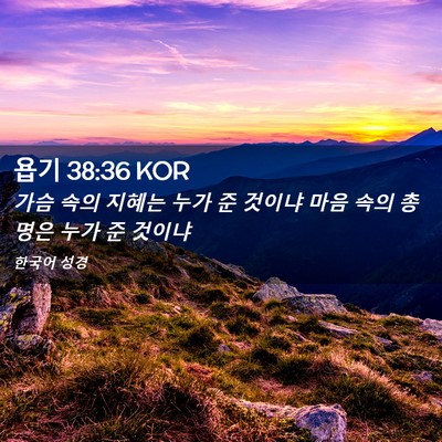 Picture 02 - 욥기 38:36 KOR - 가슴 속의 지혜는 누가 준 것이냐 - Bible Verse Picture