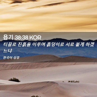 Picture 02 - 욥기 38:38 KOR - 티끌로 진흙을 이루며 흙덩이로 서로 - Bible Verse Picture