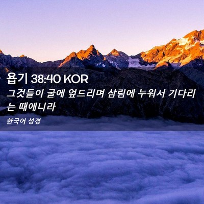 Picture 02 - 욥기 38:40 KOR - 그것들이 굴에 엎드리며 삼림에 - Bible Verse Picture