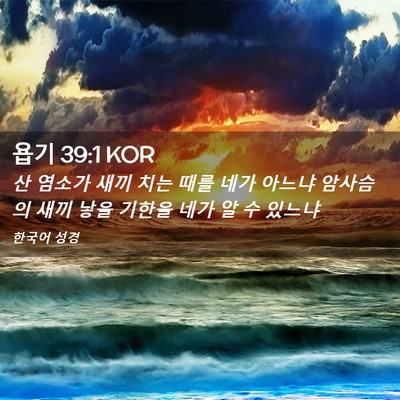 Picture 02 - 욥기 39:1 KOR - 산 염소가 새끼 치는 때를 네가 - Bible Verse Picture