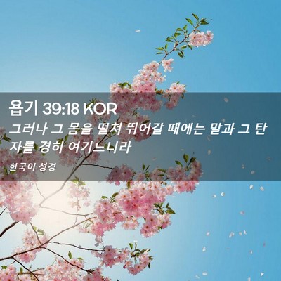 Picture 02 - 욥기 39:18 KOR - 그러나 그 몸을 떨쳐 뛰어갈 때에는 - Bible Verse Picture