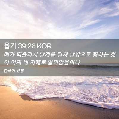 Picture 02 - 욥기 39:26 KOR - 매가 떠올라서 날개를 펼쳐 남방으로 - Bible Verse Picture
