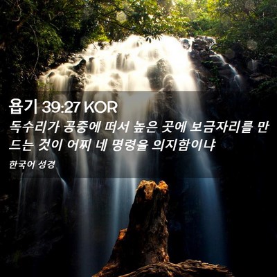 Picture 02 - 욥기 39:27 KOR - 독수리가 공중에 떠서 높은 곳에 - Bible Verse Picture