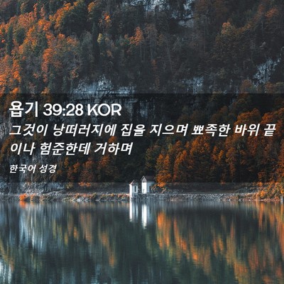 Picture 02 - 욥기 39:28 KOR - 그것이 낭떠러지에 집을 지으며 - Bible Verse Picture