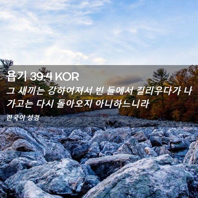 Picture 02 - 욥기 39:4 KOR - 그 새끼는 강하여져서 빈 들에서 - Bible Verse Picture