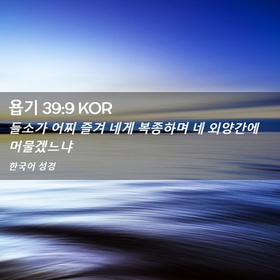 Picture 02 - 욥기 39:9 KOR - 들소가 어찌 즐겨 네게 복종하며 네 - Bible Verse Picture