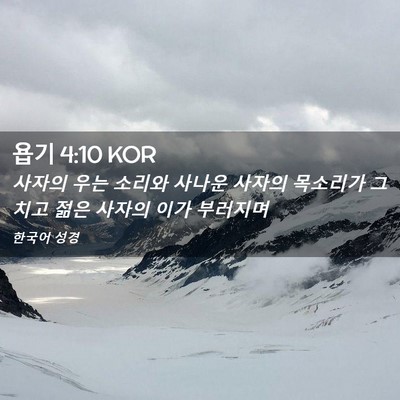 Picture 02 - 욥기 4:10 KOR - 사자의 우는 소리와 사나운 사자의 - Bible Verse Picture