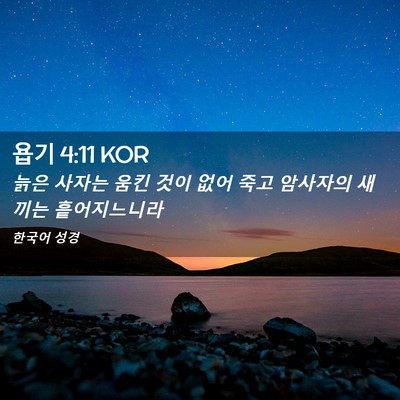 Picture 02 - 욥기 4:11 KOR - 늙은 사자는 움킨 것이 없어 죽고 - Bible Verse Picture