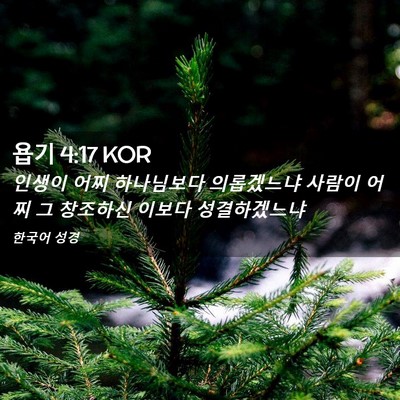 Picture 02 - 욥기 4:17 KOR - 인생이 어찌 하나님보다 의롭겠느냐 - Bible Verse Picture