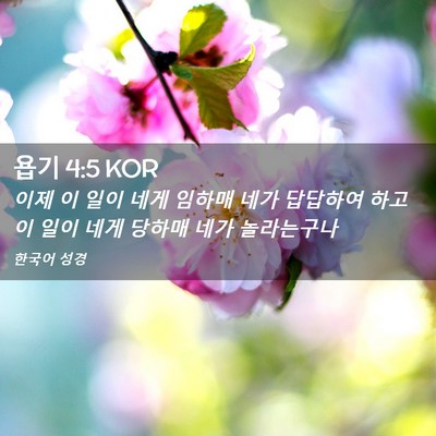 Picture 02 - 욥기 4:5 KOR - 이제 이 일이 네게 임하매 네가 - Bible Verse Picture