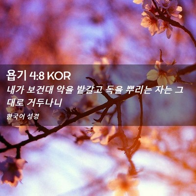 Picture 02 - 욥기 4:8 KOR - 내가 보건대 악을 밭갈고 독을 - Bible Verse Picture