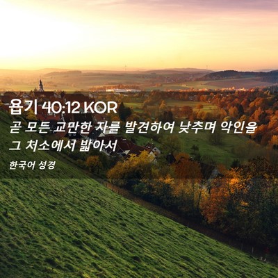 Picture 02 - 욥기 40:12 KOR - 곧 모든 교만한 자를 발견하여 - Bible Verse Picture