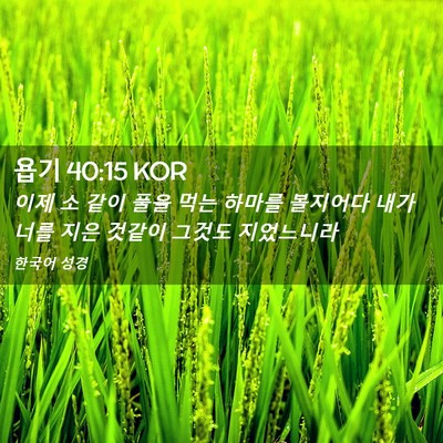 Picture 02 - 욥기 40:15 KOR - 이제 소 같이 풀을 먹는 하마를 - Bible Verse Picture