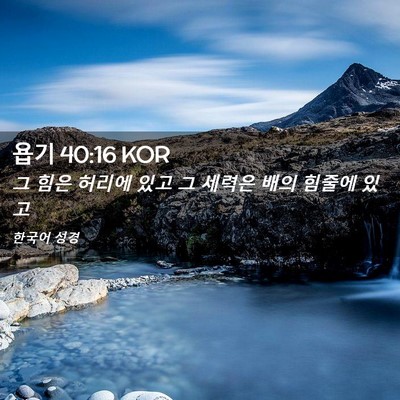 Picture 02 - 욥기 40:16 KOR - 그 힘은 허리에 있고 그 세력은 배의 - Bible Verse Picture