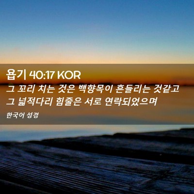 Picture 02 - 욥기 40:17 KOR - 그 꼬리 치는 것은 백향목이 - Bible Verse Picture