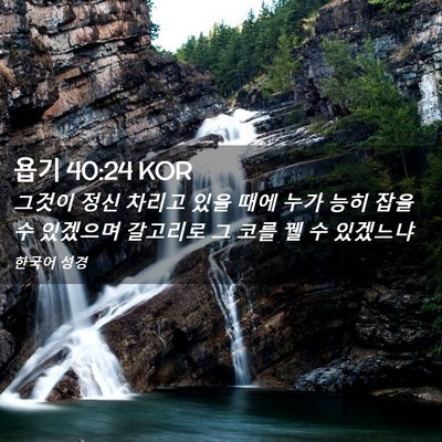 Picture 02 - 욥기 40:24 KOR - 그것이 정신 차리고 있을 때에 누가 - Bible Verse Picture