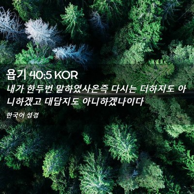 Picture 02 - 욥기 40:5 KOR - 내가 한두번 말하였사온즉 다시는 - Bible Verse Picture