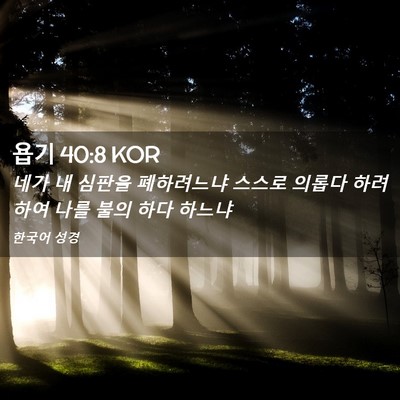 Picture 02 - 욥기 40:8 KOR - 네가 내 심판을 폐하려느냐 스스로 - Bible Verse Picture