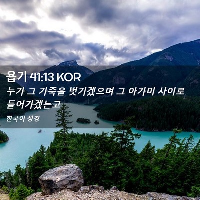 Picture 02 - 욥기 41:13 KOR - 누가 그 가죽을 벗기겠으며 그 - Bible Verse Picture
