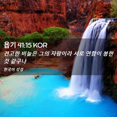Picture 02 - 욥기 41:15 KOR - 견고한 비늘은 그의 자랑이라 서로 - Bible Verse Picture