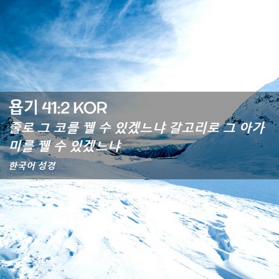 Picture 02 - 욥기 41:2 KOR - 줄로 그 코를 꿸 수 있겠느냐 - Bible Verse Picture