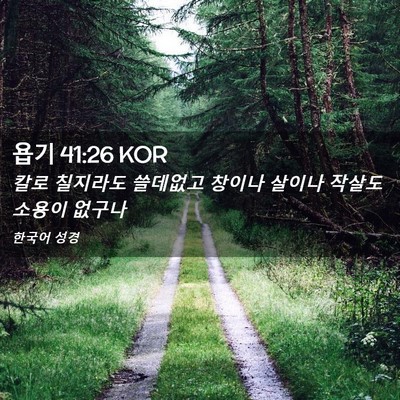 Picture 02 - 욥기 41:26 KOR - 칼로 칠지라도 쓸데없고 창이나 - Bible Verse Picture