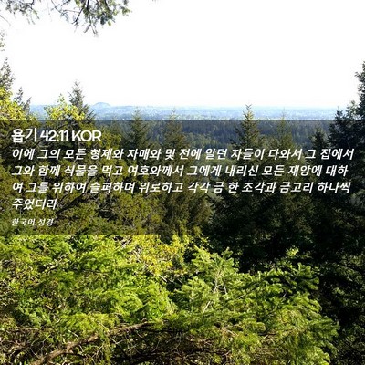 Picture 02 - 욥기 42:11 KOR - 이에 그의 모든 형제와 자매와 및 - Bible Verse Picture