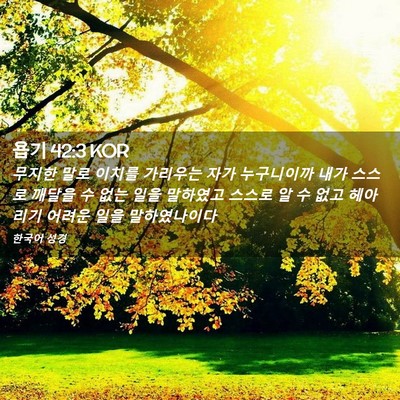 Picture 02 - 욥기 42:3 KOR - 무지한 말로 이치를 가리우는 자가 - Bible Verse Picture
