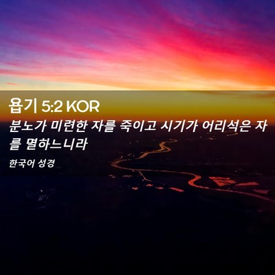 Picture 02 - 욥기 5:2 KOR - 분노가 미련한 자를 죽이고 시기가 - Bible Verse Picture