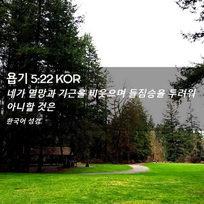Picture 02 - 욥기 5:22 KOR - 네가 멸망과 기근을 비웃으며 - Bible Verse Picture