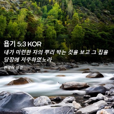 Picture 02 - 욥기 5:3 KOR - 내가 미련한 자의 뿌리 박는 것을 - Bible Verse Picture