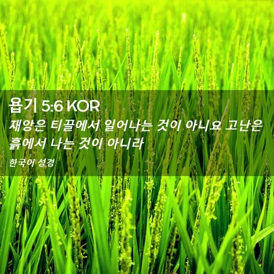 Picture 02 - 욥기 5:6 KOR - 재앙은 티끌에서 일어나는 것이 - Bible Verse Picture